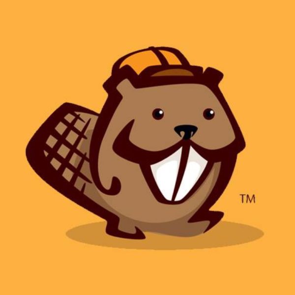 Optimizar la velocidad de carga de páginas Beaver Builder